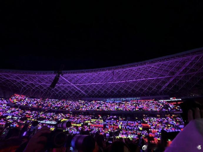 紫色的海洋，像星空一样闪亮。