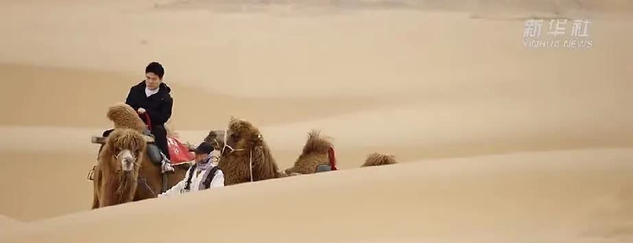 有人说董宇辉采访了那么多文人，大咖，为什么这次没有一个人站出来为他说话。借此讽刺