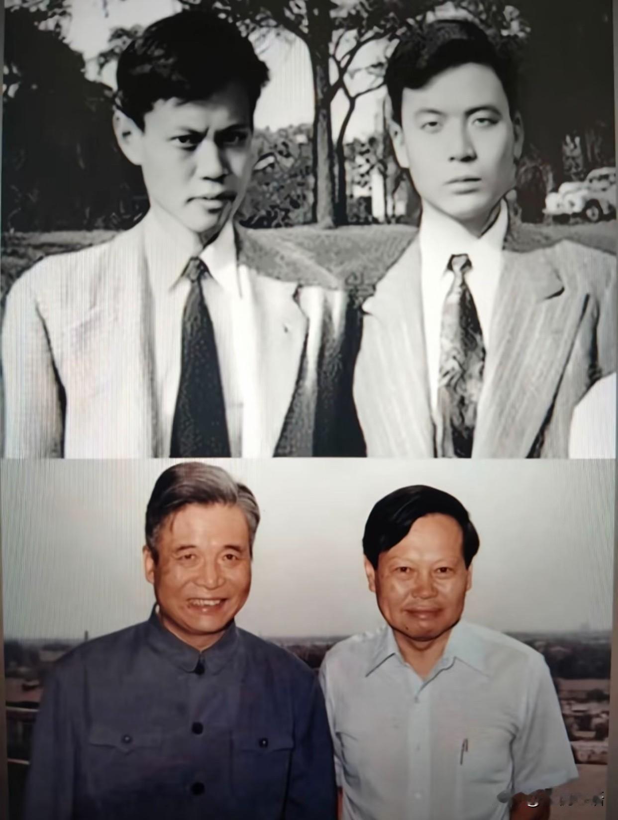 这20元，比任何奖金都重！1986年的北京，病房里很静。杨振宁握着邓稼先的
