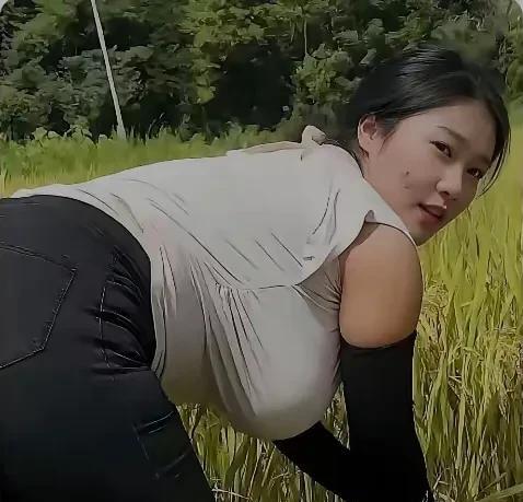又到金秋收割忙！