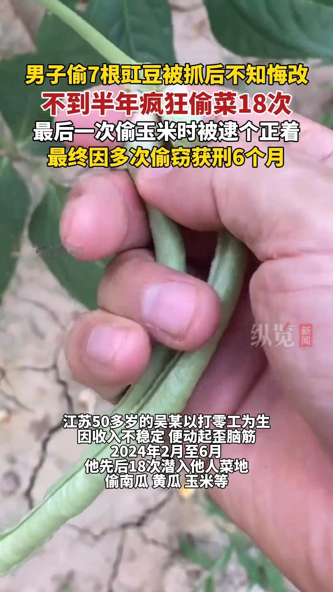 去田里偷了1根茄子、2个土豆、3根黄瓜，就这，不至于判刑吧？50多岁的男子吴某算