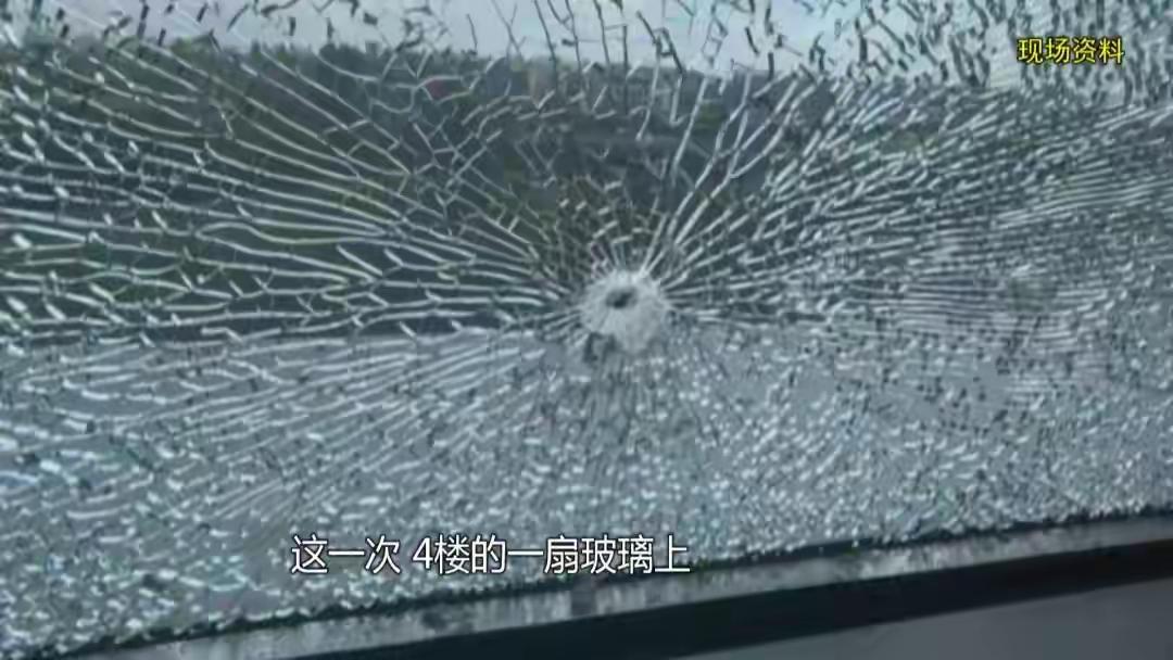 您见过有人用弹弓打穿医院玻璃的吗？最近上海闵行就发生了这样一件离谱事儿——39岁