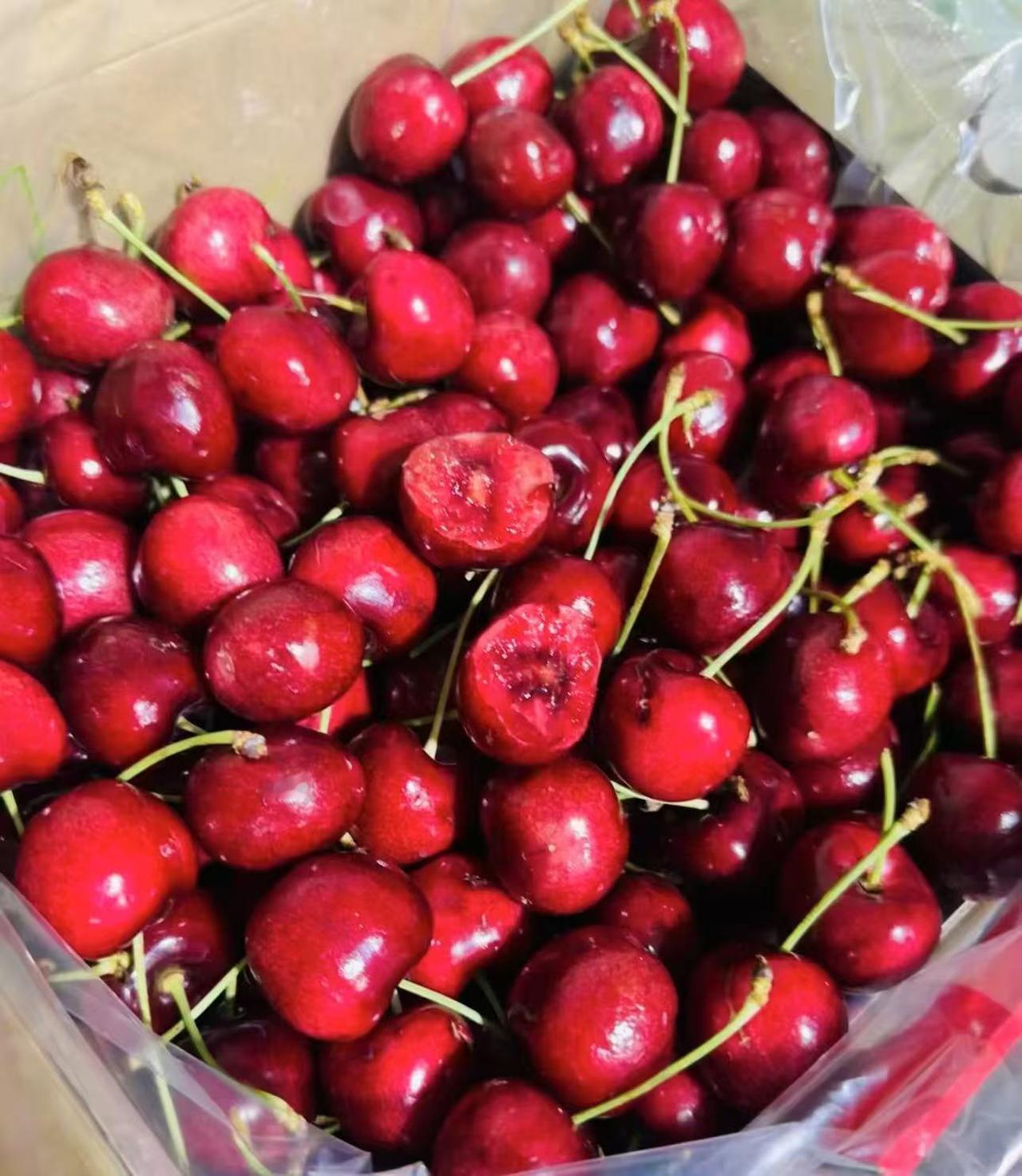 我在哈尔滨一户有钱人家当保姆，昨天因为吃水果被雇主给阴阳了！其实，我这个雇主