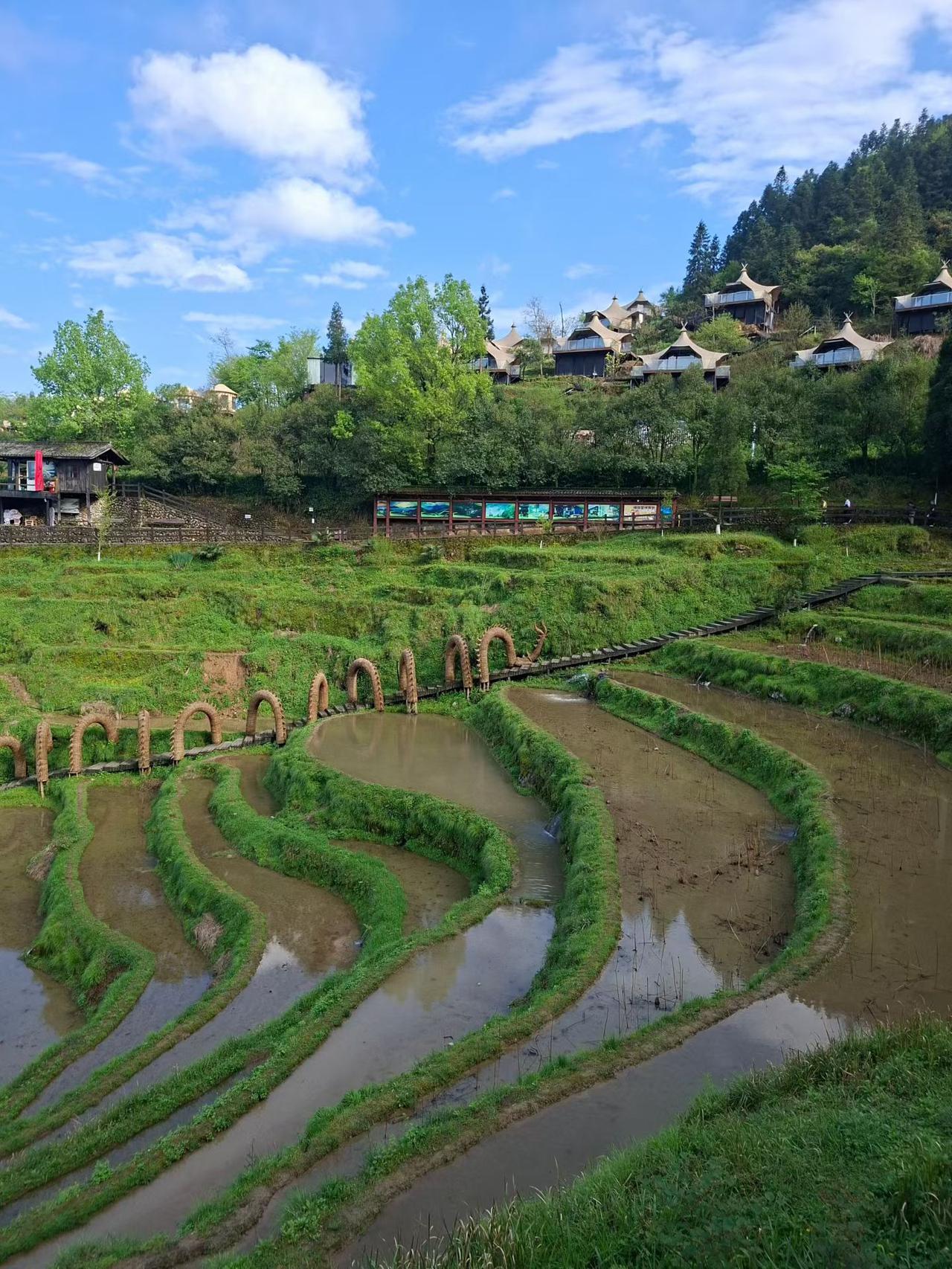 田间地头！！！