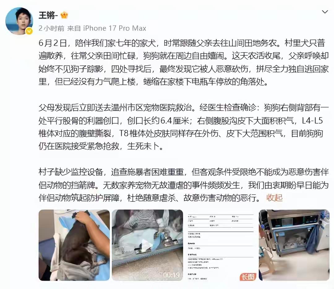 有没有另一个可能是狗咬人了，被当做流浪狗了
