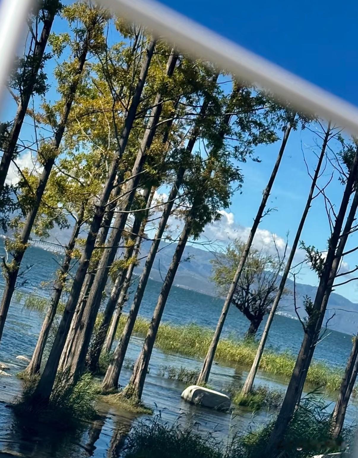 最刺激的四件事：第一，跟天蝎谈恋爱；第二，征服天蝎；第三，控制