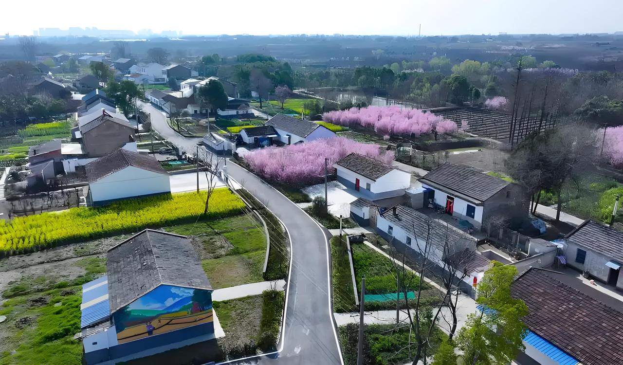 同样是合肥下辖的县域农村，肥西和长丰的乡村，差距已经大到像两个世界？一个是白墙黛