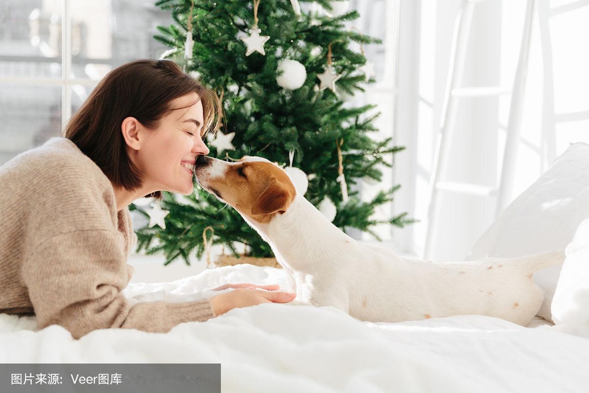 是谁让狗成为了贵族？从网络上看到的一些镜头：爬泰山，狗狗坐轿，人抬着，