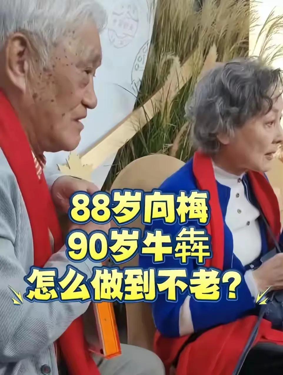 电影保密局的枪声：向梅老师[赞][比心]好漂亮啊[比心]