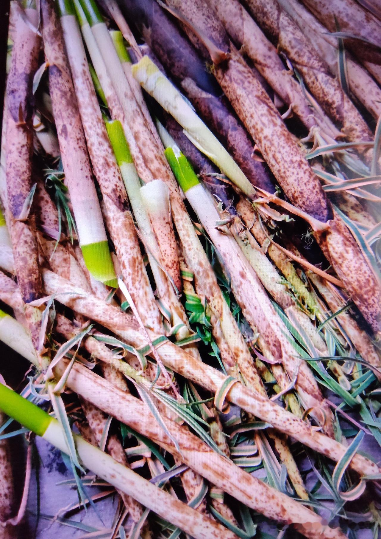 万万想不到竹笋食用不当也会引起血压升高。专家说：“笋干、腌笋、泡笋、油焖笋、