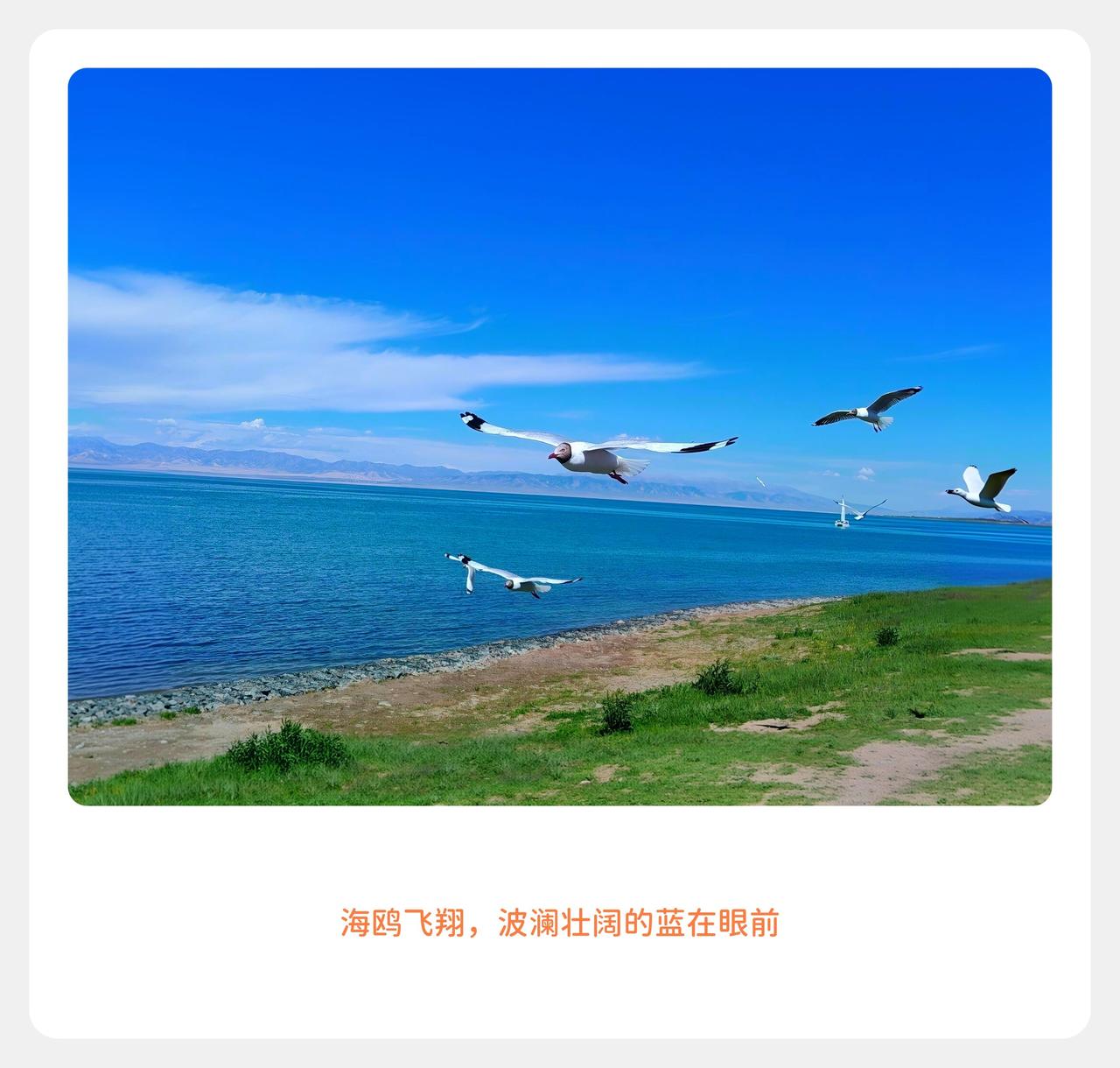 美丽的青海湖！