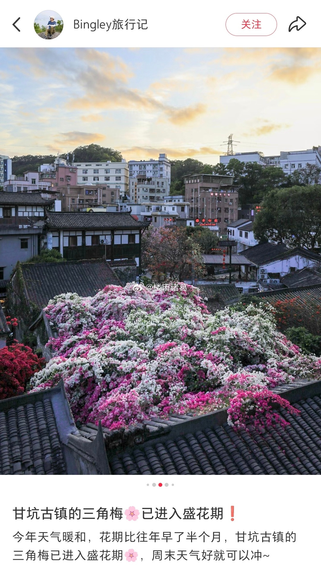 深圳：不允许任何一个角落丑~