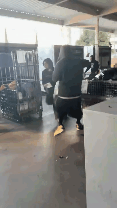 都开上奥迪了，为何还干这不光彩的事儿？