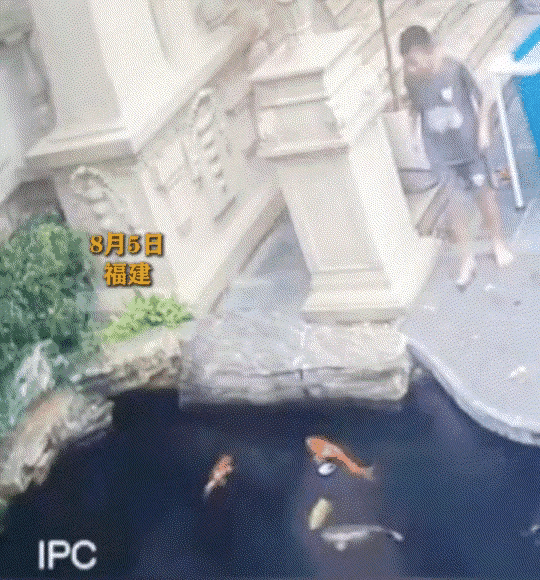 “心都碎了！”福建一名小男孩出门去找自家小狗，却在鱼塘里发现已经溺水的狗子。看见