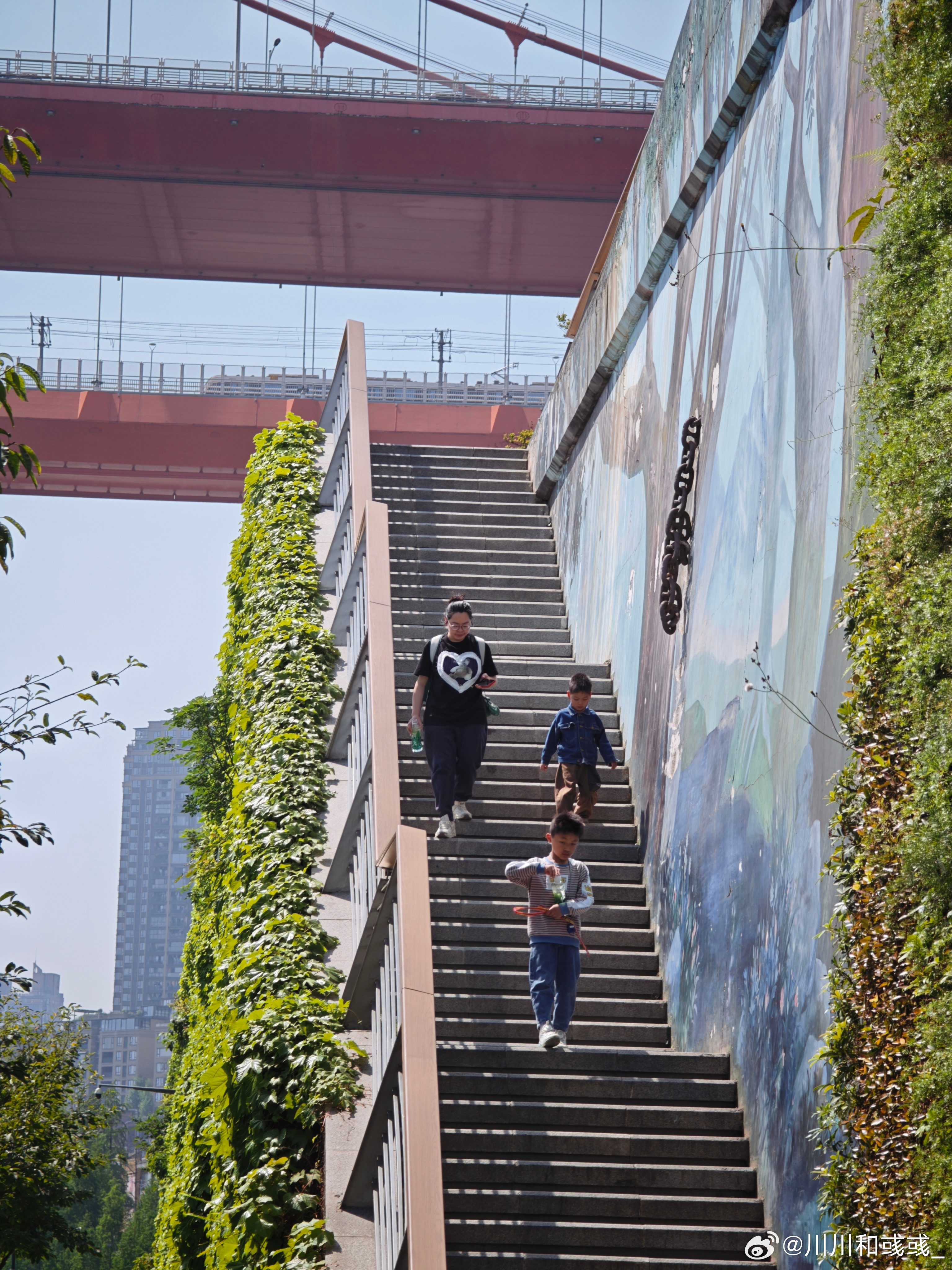 重庆的夏天来了