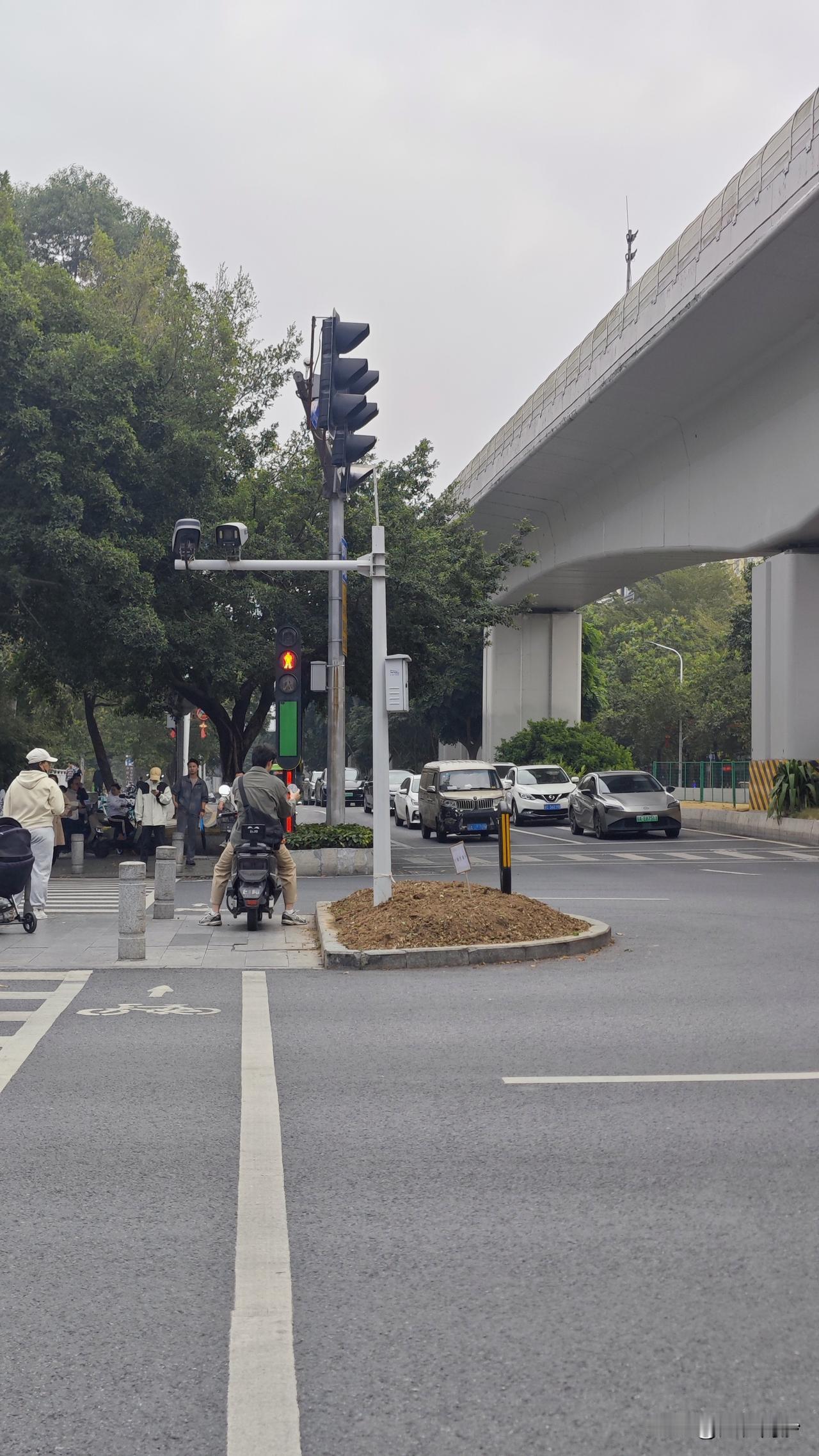 还是我天真了！之前以为这波路中间新种的花铲掉，是为了重新栽种迎接新年元旦。但是你