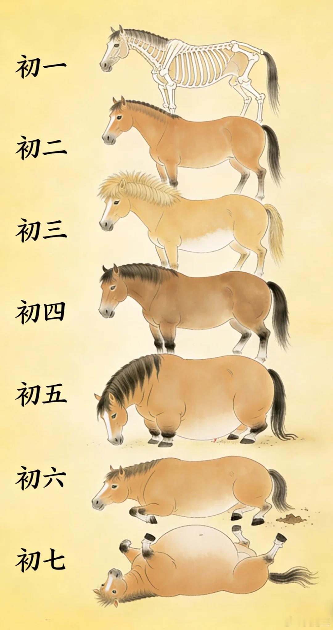 多少人的写照啊，哈哈哈！