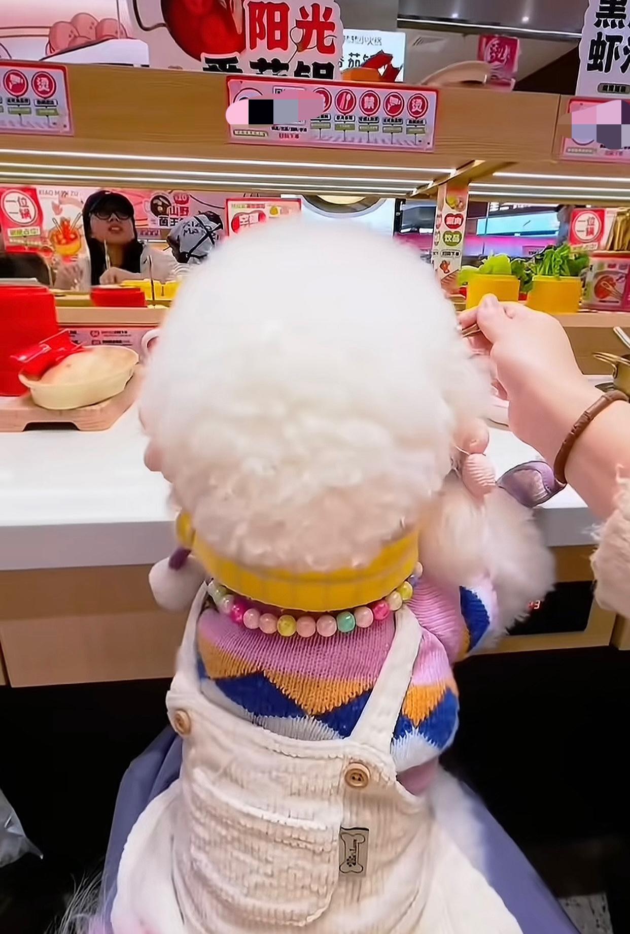 这次的逻辑实在说不通，福建泉州“精致狗上桌”，上的还是某连锁品牌的旋转小火锅，并