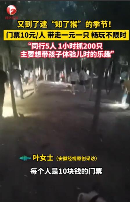 “简直就是捡钱啊！”2025年6月24日，江苏徐州，一老板为了赚钱，开放自家“知