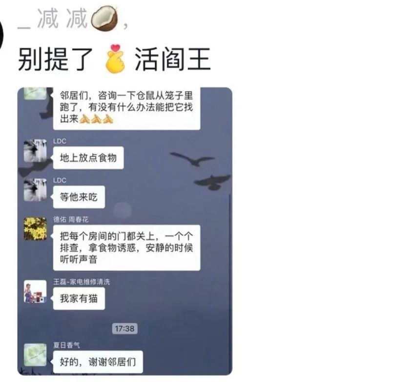 我家有猫