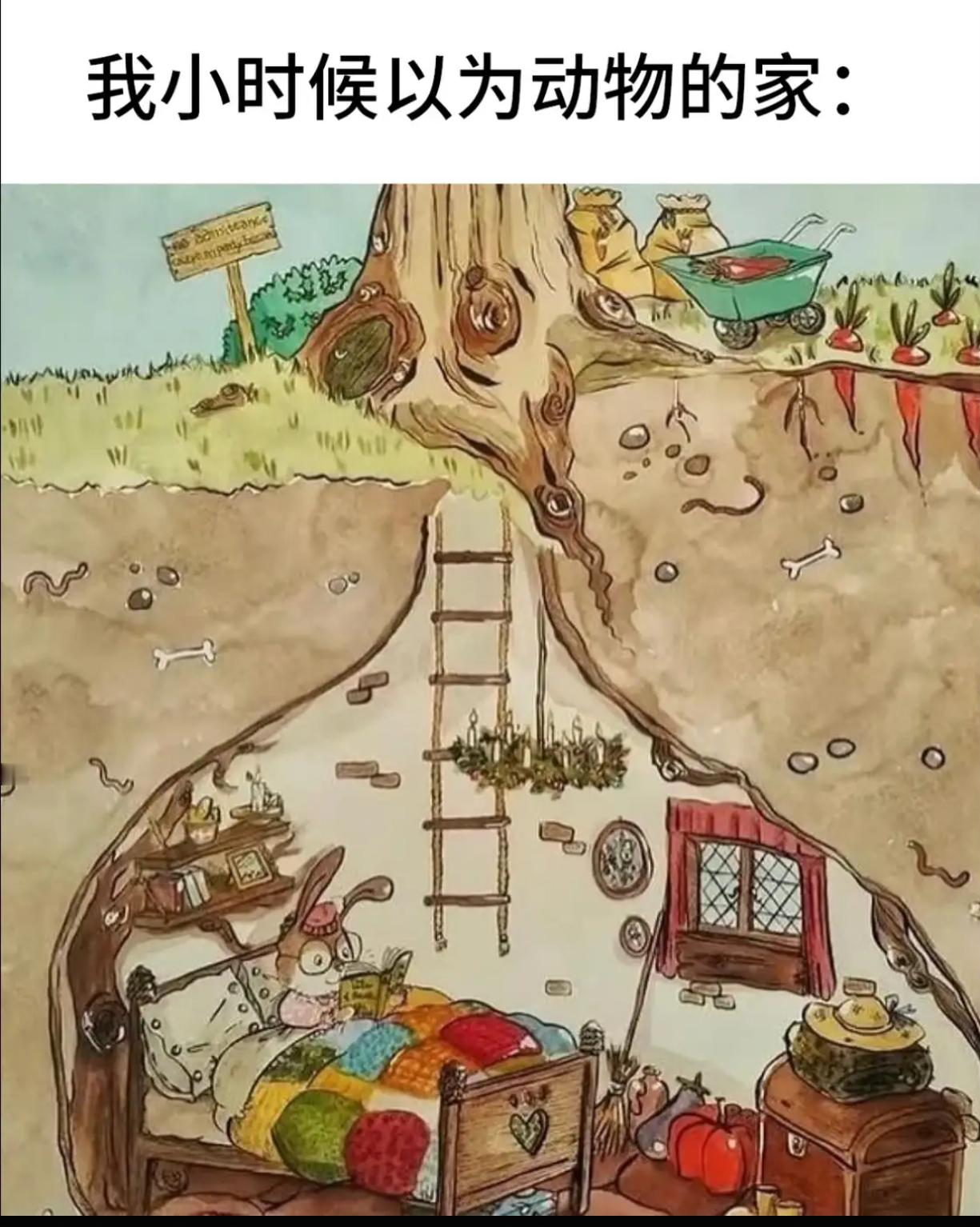 我小时候以为动物的家：​​​