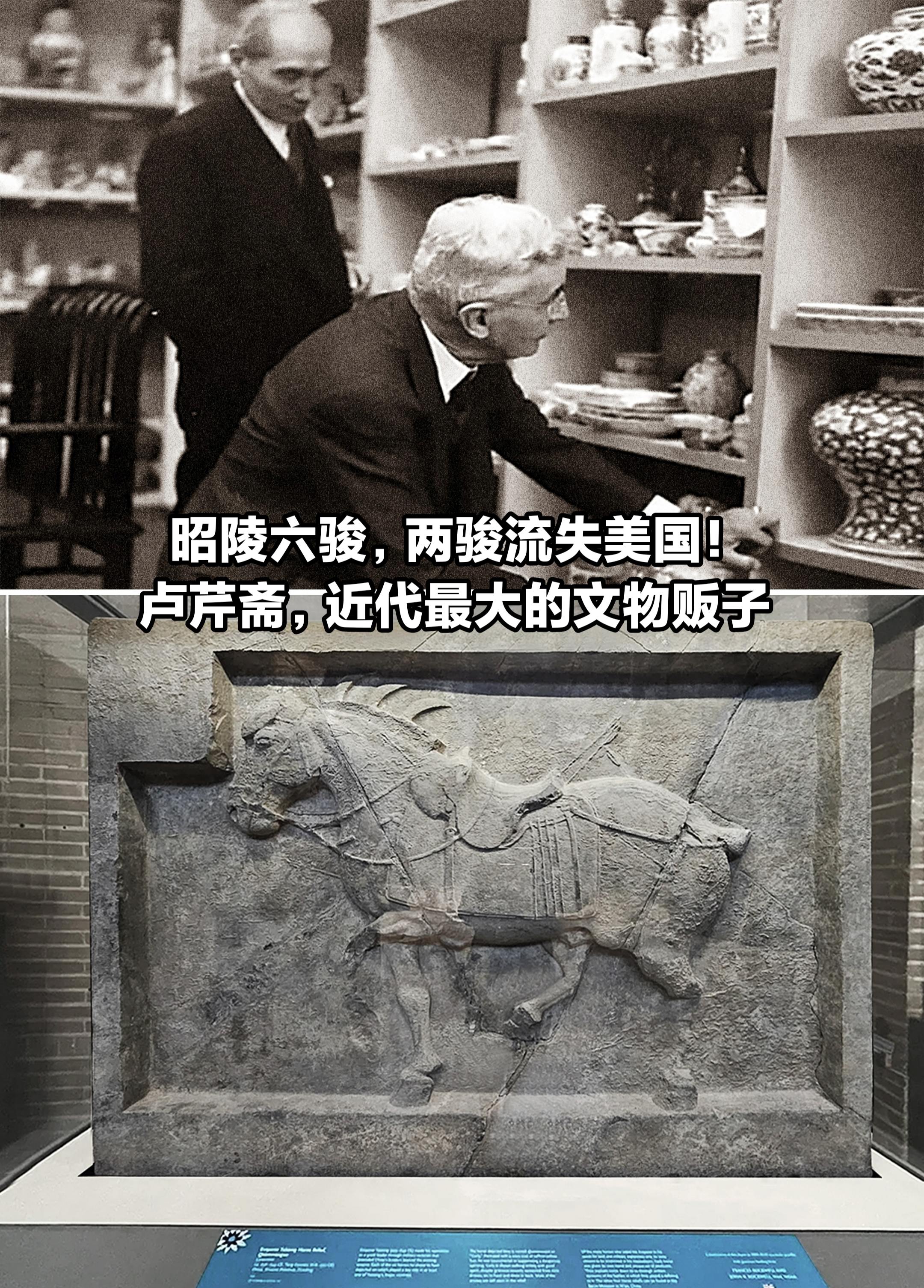 昭陵六骏，两骏流失美国，文物贩子卢芹斋。