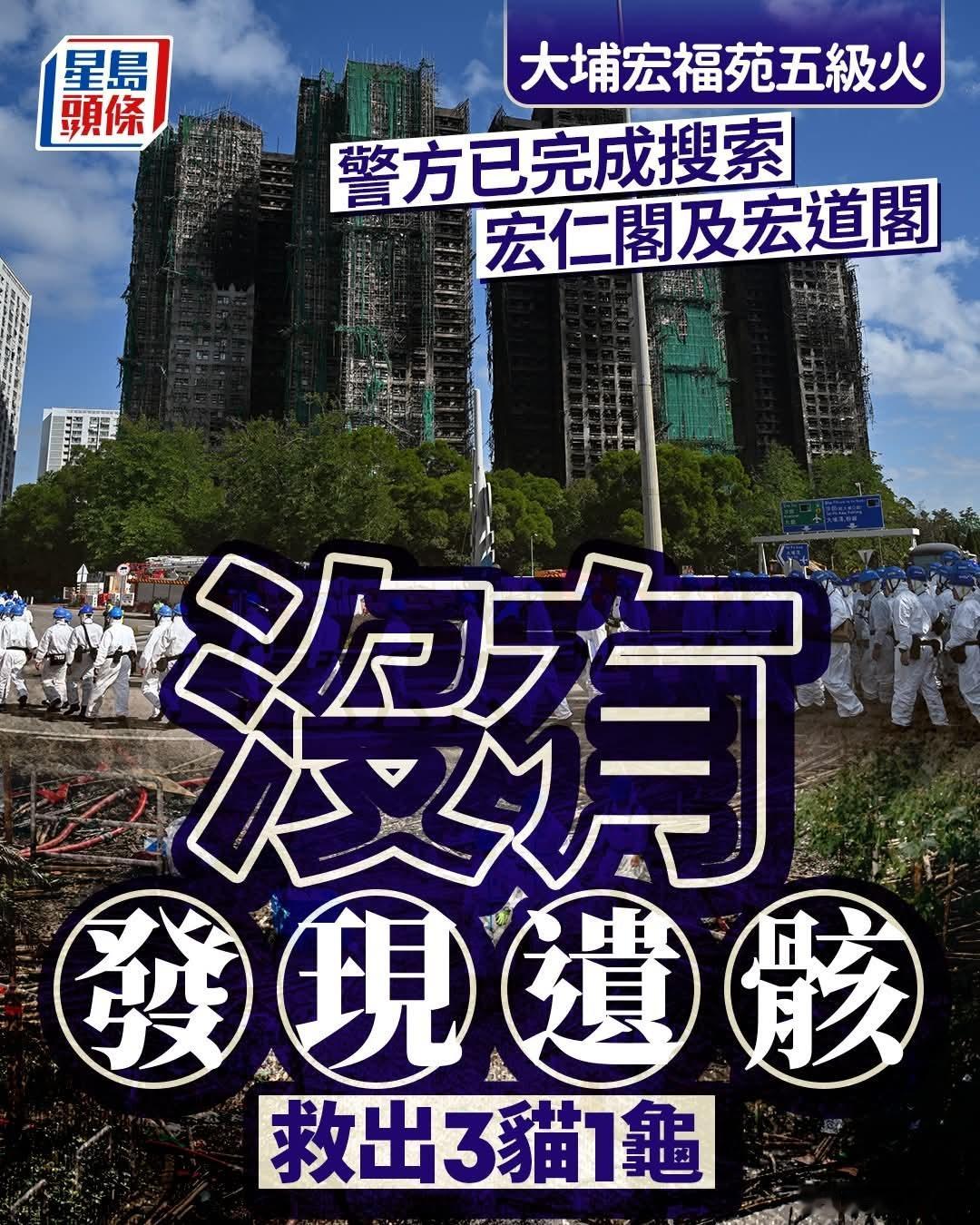 今日搜索未发现遗骸，救出3猫1龟香港大火，警方灾难受害者辩认组（DVIU）人员今
