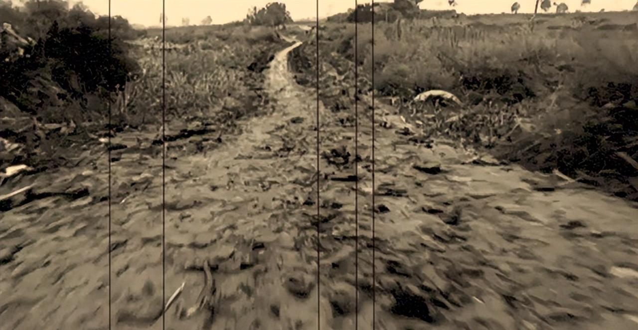 自古以来，《易经》作为群经之首，始终笼罩着神秘面纱，被视为占卜未来的天书。1