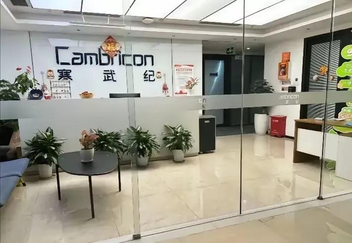 股价飞上天的“寒武纪”前台就这样？太普通，小家子气了。寒武纪已成为大A最靓的仔