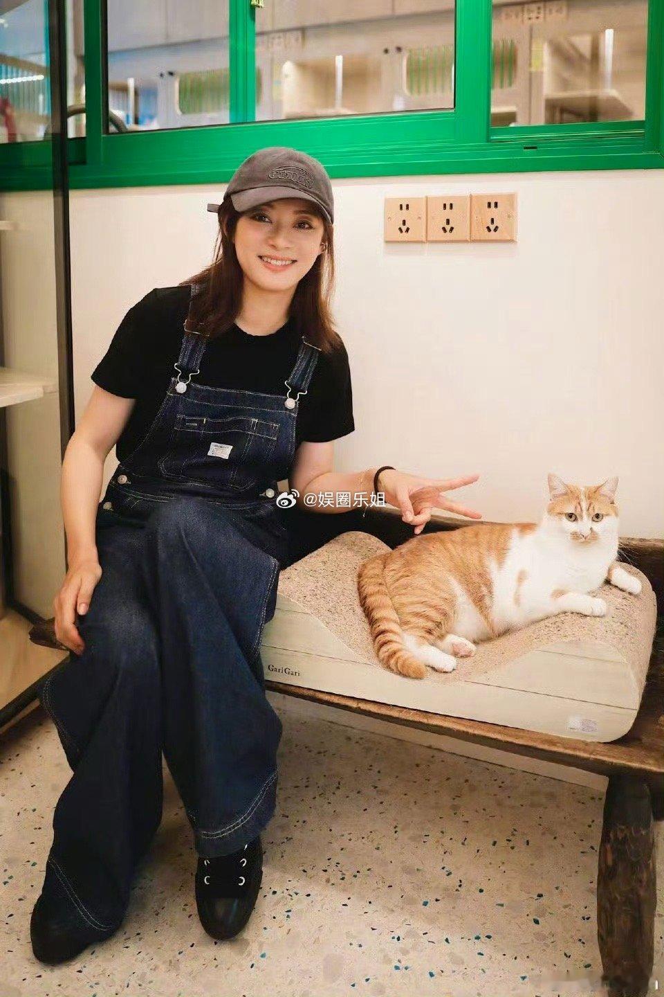 领养代替买卖，娘娘有大爱💕猫猫看起来是不好看，但是对于生命来说它这一样是鲜活的