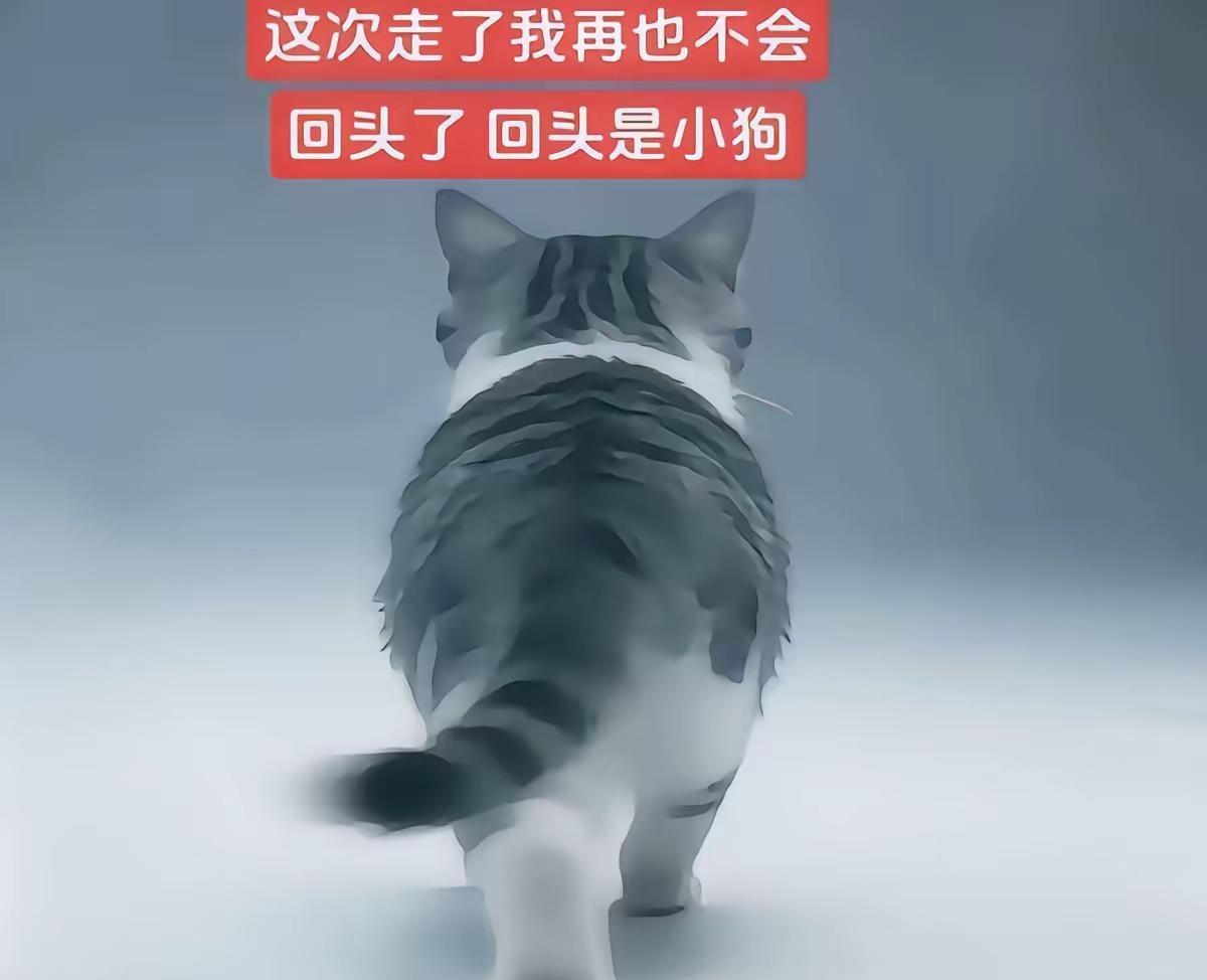 梗图上热搜万恶之源人类一败涂地这次走了我再也不会回头