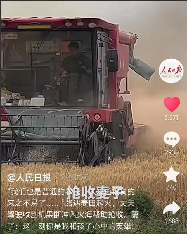 6月2日，“这个男人火到央视了！”山东20亩小麦起火，男子冒死开收割机抢收！不料