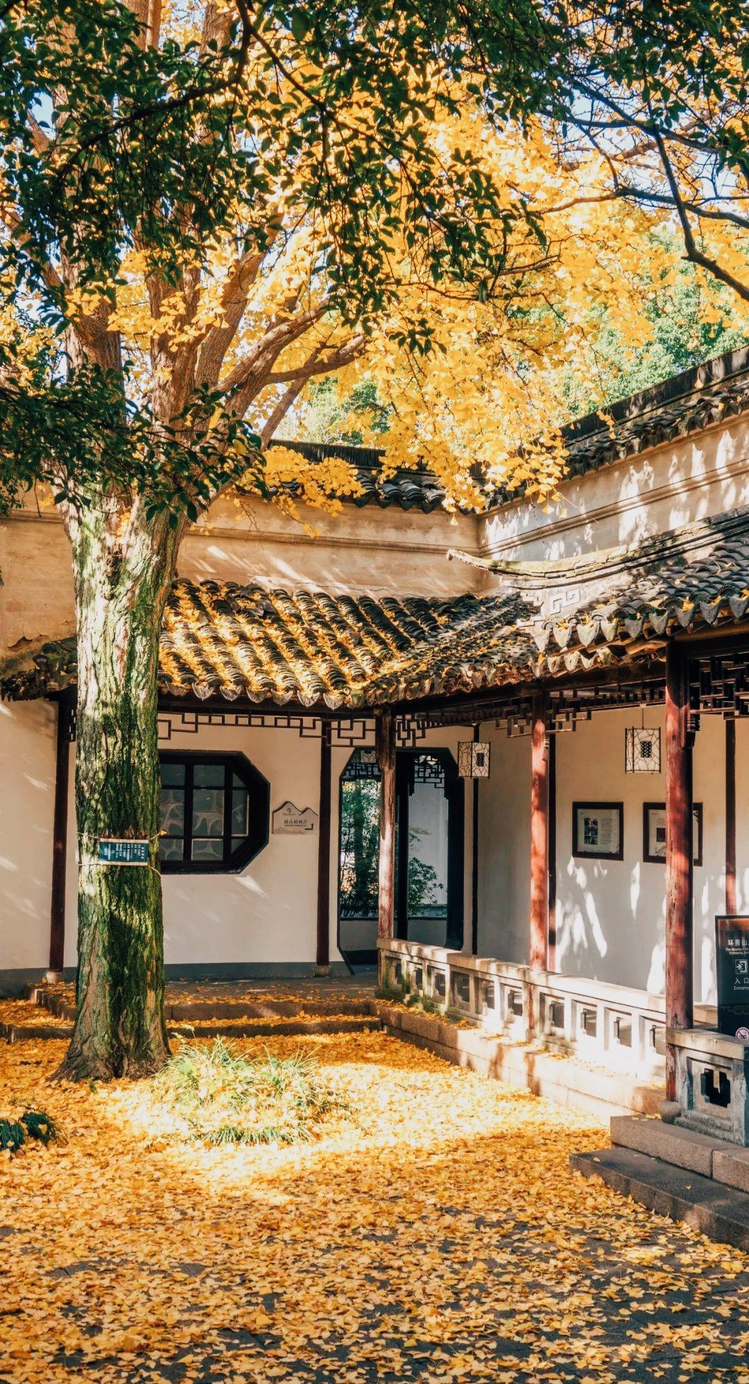 天人合一：中医的全息世界观古人讲，三才者天地人。人居天地之间，天地如同人的父母，人受天气、地气双重滋