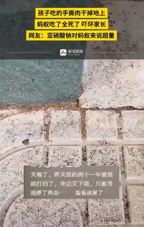 5月17日新浪新闻报道海南，一孩子在家中吃零食时不慎掉落地上一块零食，不久后家长