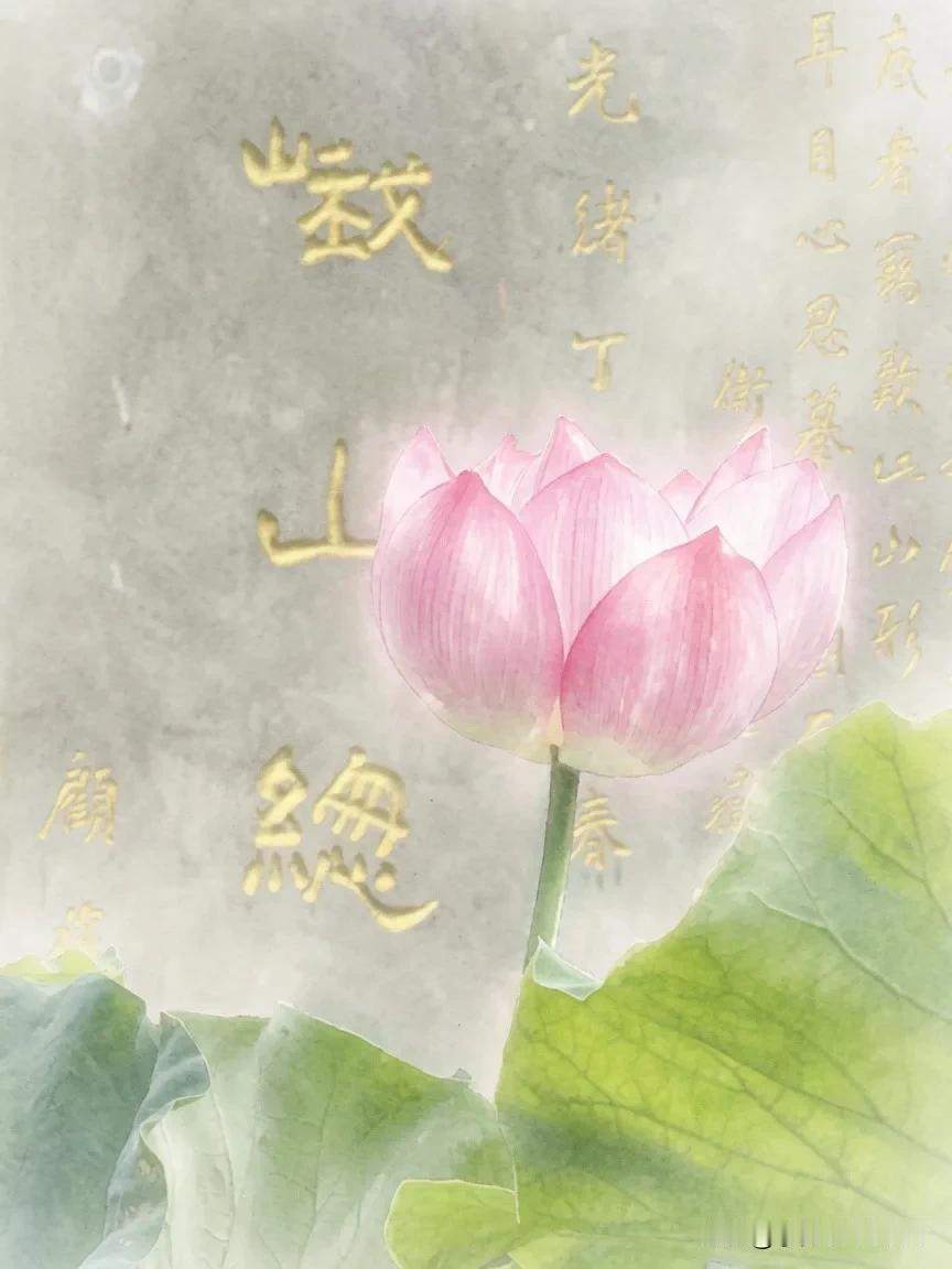 莲在禅院，不语，却胜千言。