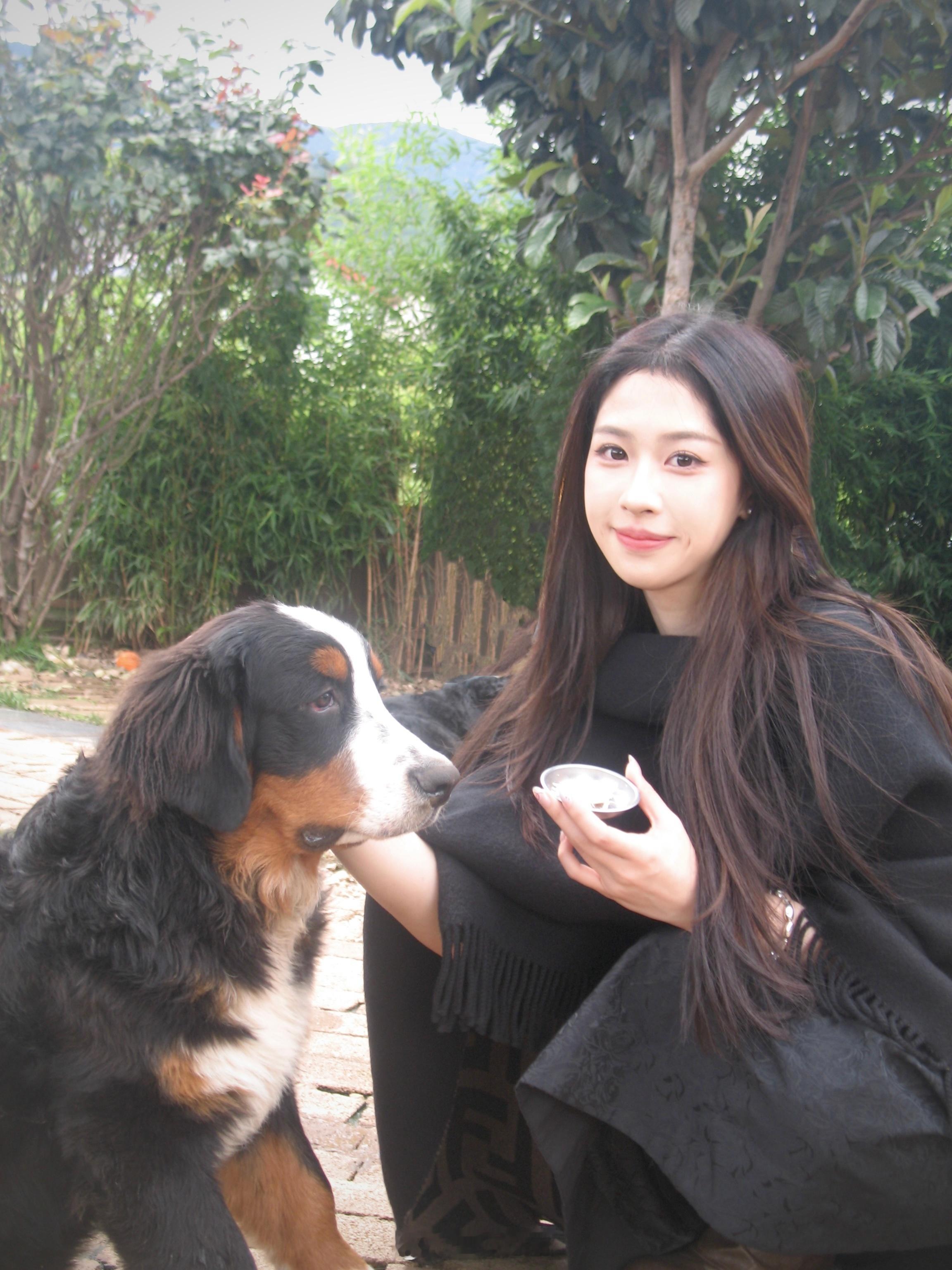 嘿！不看镜头的是小狗૮ฅ'ᴥ'ฅა🐾