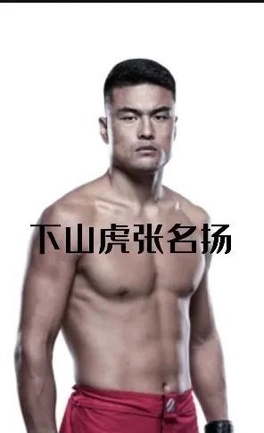 张名扬现在UFC国内亚洲没有人能打的过他，在中国自由搏击高手很多，但综合格斗高手