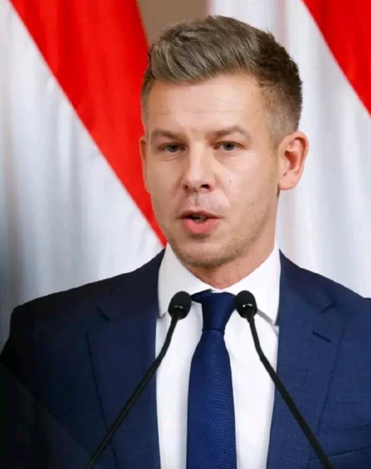 马扎尔建议，如果欧尔班为失利痛苦，可以尝试参选欧盟委员会主席。匈牙利媒体披露