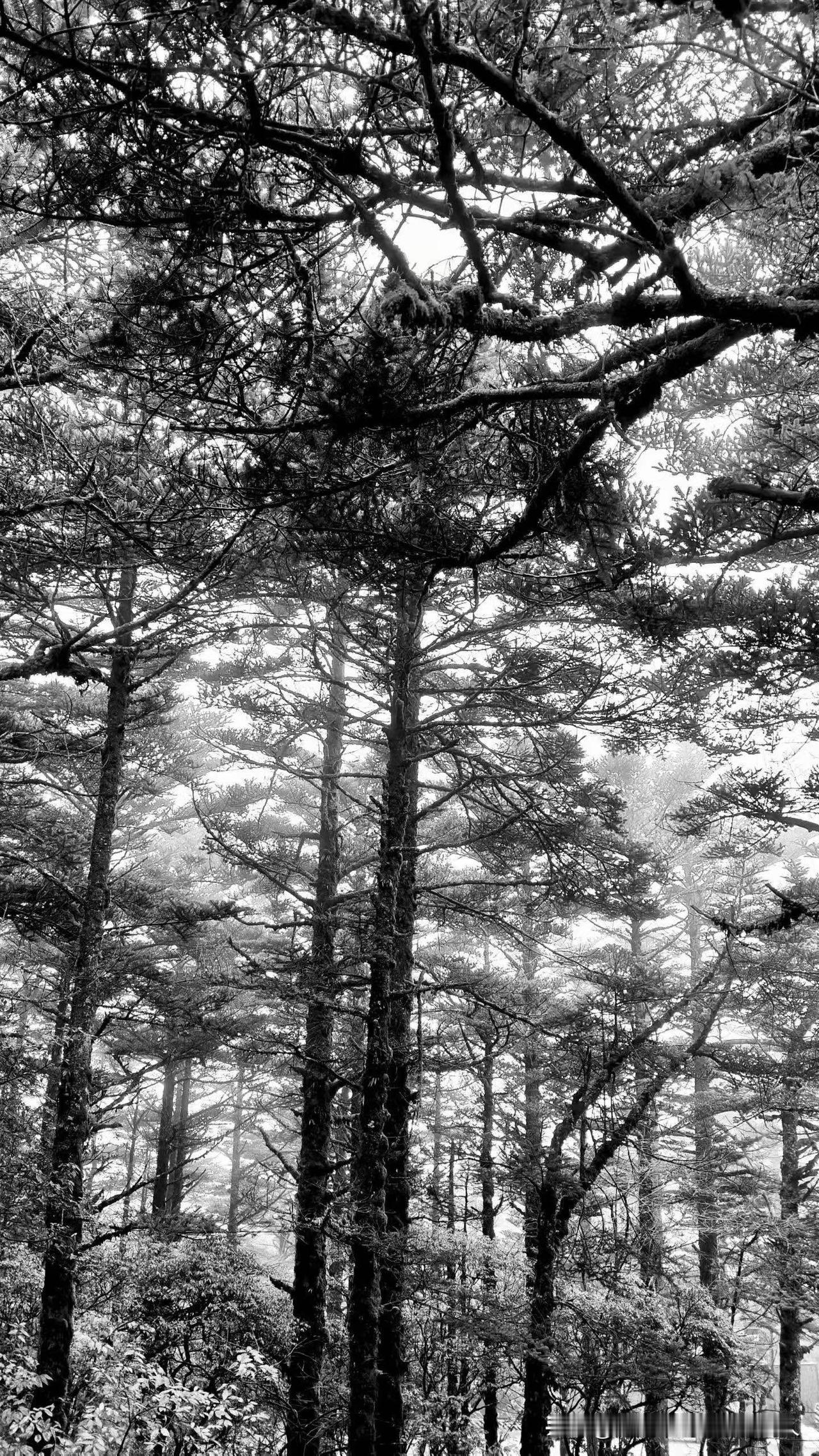 任何时候都不要高估了人性，尤其是两口子之间！昨天半夜老公把我喊醒，说想上卫生间，