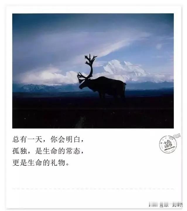 大年初一就一两个异性朋友给我发了微信拜年我的好哥们好基友没有一个惦记我的