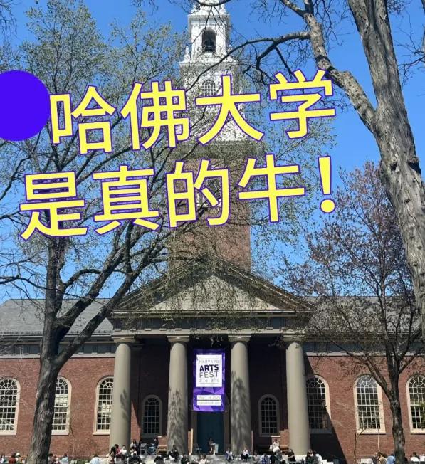 现在最坐立难安的应该就是留学生了吧。花个几百万去哈佛大学读书。本来以为能成功