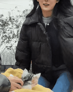 谁有办法能要到猫咪的VX，赏万金！