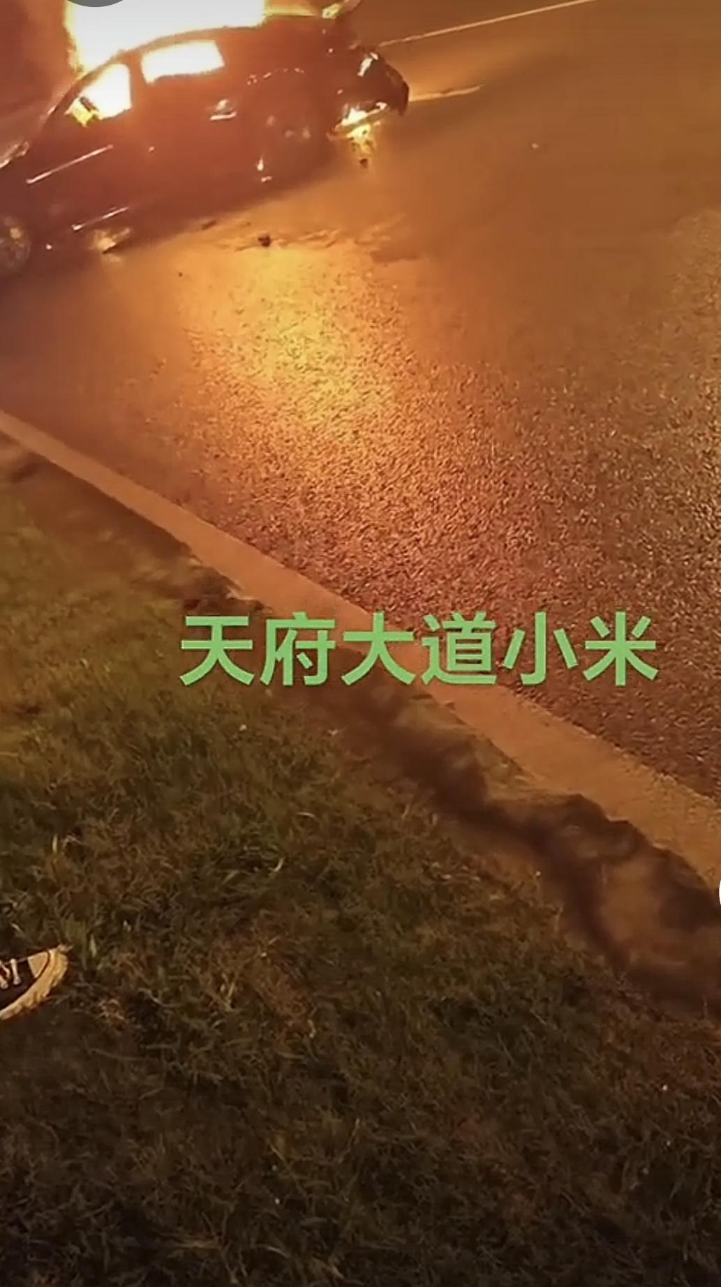 车门无法打开建议汽车的车门和驻车还是做成手动机械的吧，电子的只要出事故人力就控制