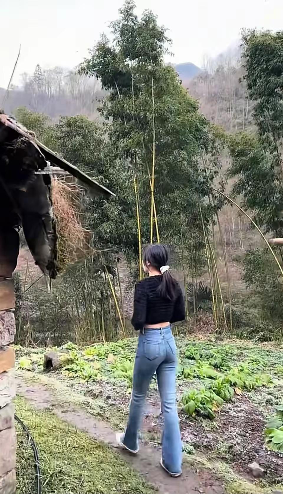 田园风光，静谧生活，感受大自然的美好。