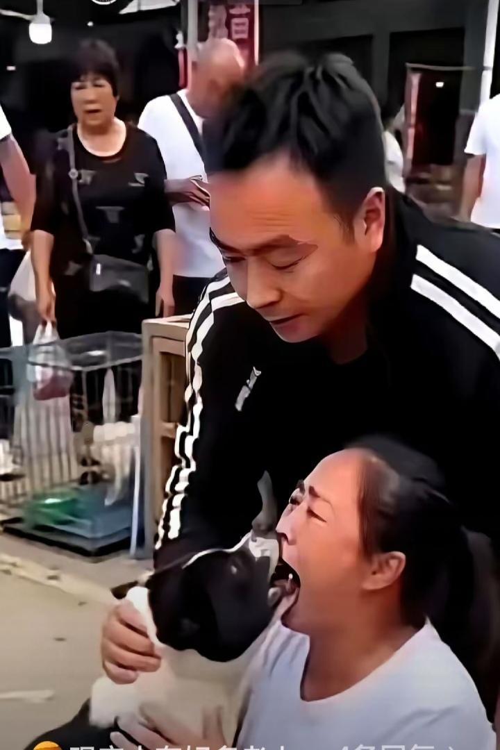 "它是我亲儿子，从来不咬人!"大妈抱着狗，冲着周围一圈人喊。为了证明，她低下