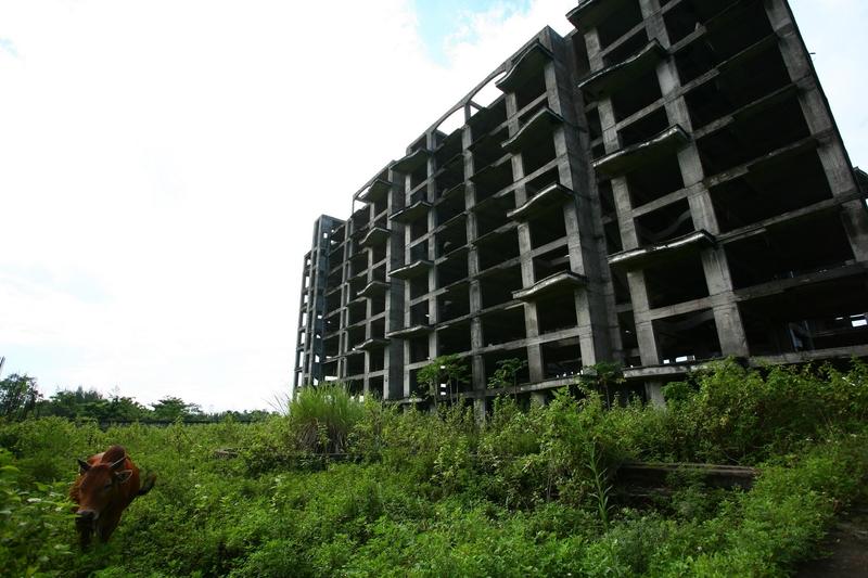 海南发展为什么这么受欢迎？这么多人都进去炒海南发展，这是什么情况？翻开海