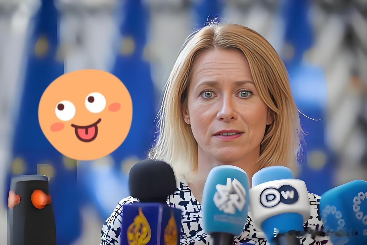 欧洲防务重大转向！当地时间1月28日，欧盟安全与外交政策高级代表卡娅·卡拉