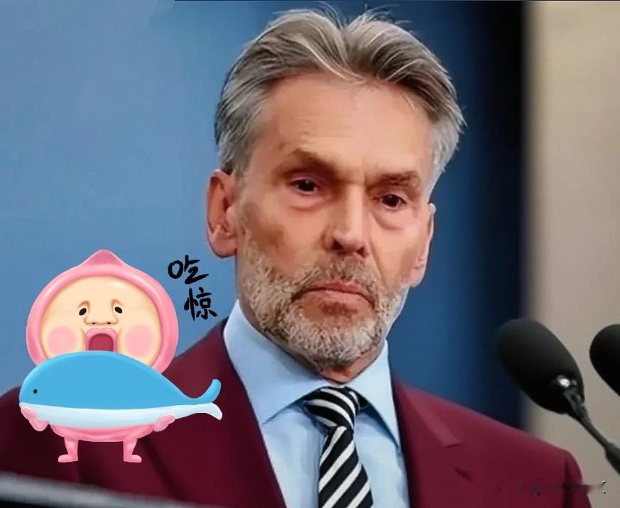 最新消息荷兰宣布了荷兰在2023年对华出口限制政策的最新进展是，ASML多