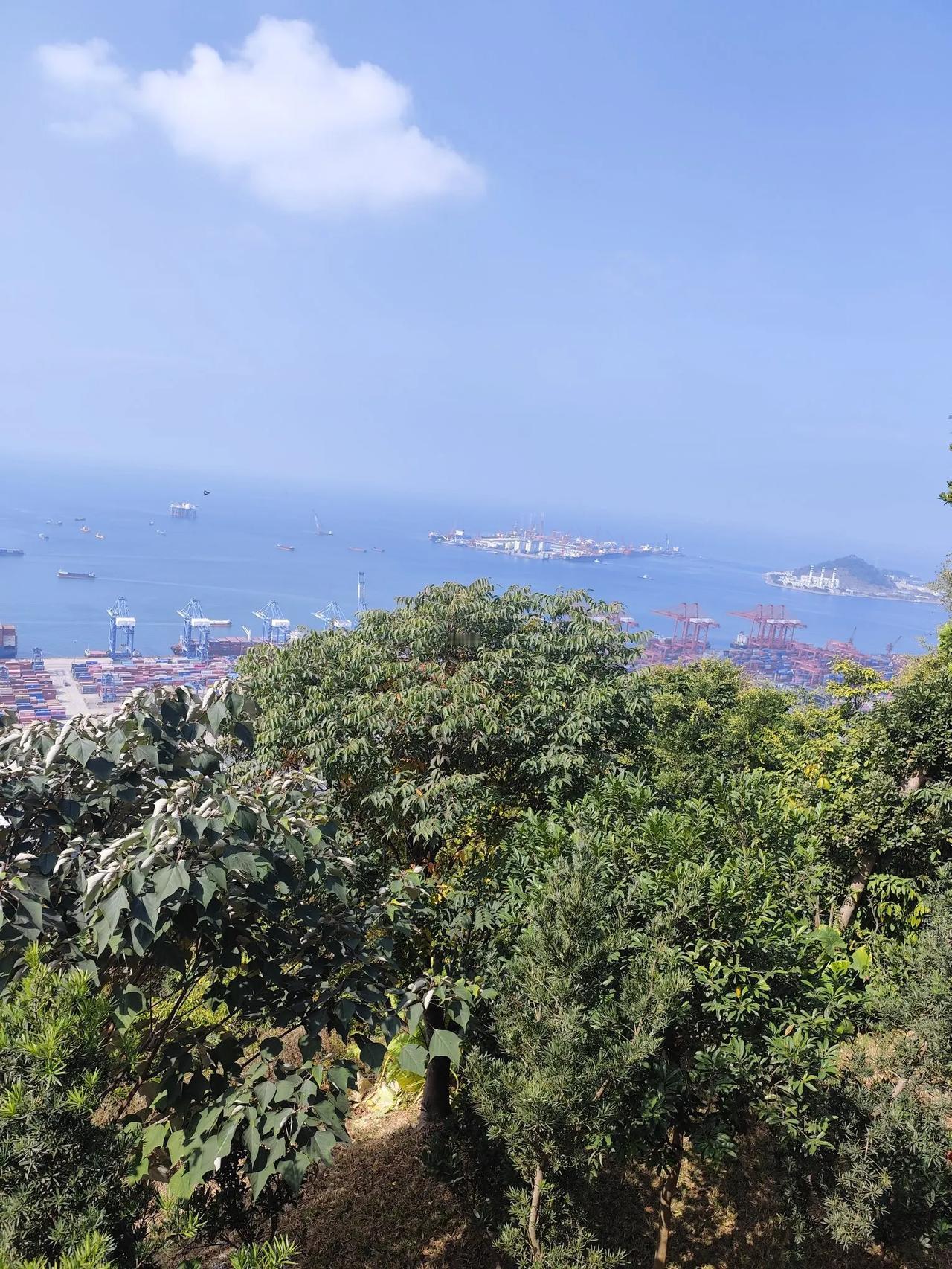 武松明明已经真心实意替张督监做事了，张督监为什么还为了一个饭桶蒋门神陷害武松，这