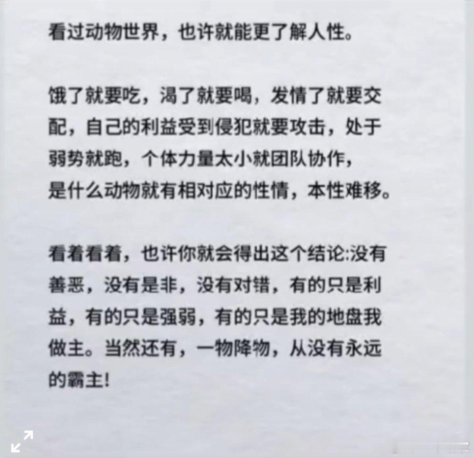 看过动物世界，也许就更能了解人性​​​